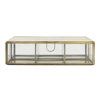 Dijk Natural Collections - Box metal with glass 25x17x6.5cm - Goud