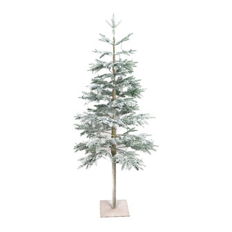 Dijk Natural Collections - Tree PE 70x150cm 5ft - Multi
