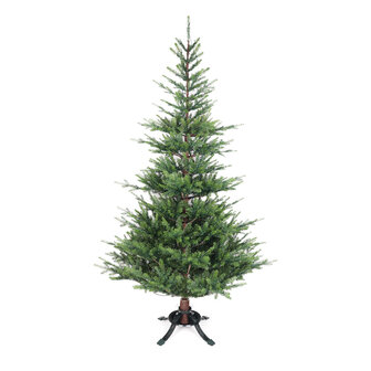 Dijk Natural Collections - Tree PE Howard 135x210cm - Groen