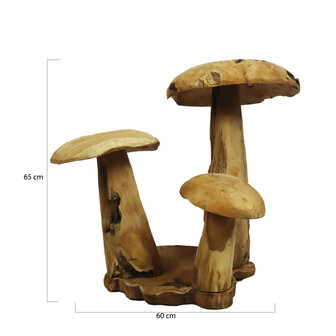 DKNC - Decoratieve paddenstoel Amanda  - Teak hout - 60x70x65cm - Beige