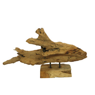 Dijk Natural Collections - Root on foot teak 58x14x30cm - Natuurlijk Dijk Natural Collections - Root on foot teak 58x14x30cm - Natuurlijk