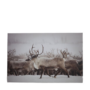 DKNC - Wanddecoratie rendier mdf - 118x78x3cm - Multi DKNC - Wanddecoratie rendier mdf - 118x78x3cm - Multi